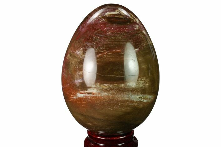 Colorful, Polished Petrified Wood Egg - Madagascar #172768